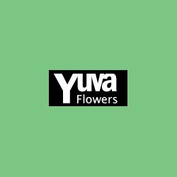  Profile Photos of YuvaFlowers 189 A, Munirka Vihar - Photo 1 of 1