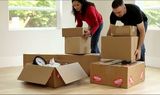  Moving Companies Buffalo NY 465 Grant St # 62 
