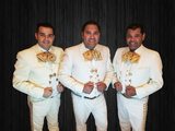  Mariachi Trio Generacion De Sacramento 1422 Nighthawk Way 
