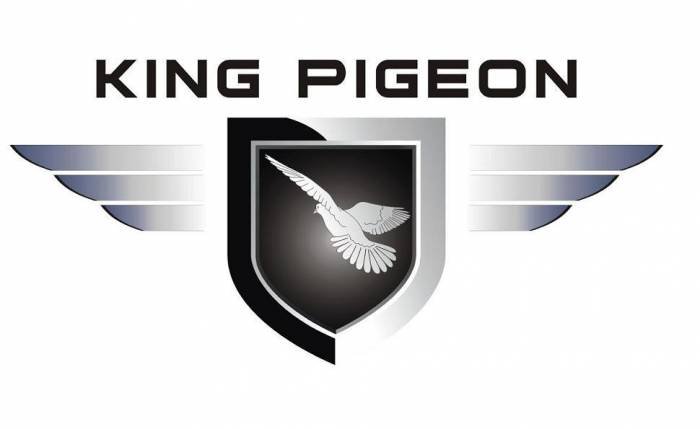  Profile Photos of King Pigeon Hi-Tech.Co.,Ltd. No.3 TianFuAn Industrial Zone,JiuWei VL,XiXiang Town,Bao'an District,Shenzhen City,China - Photo 1 of 1