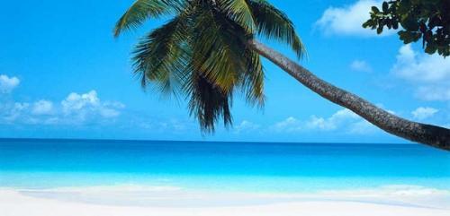  Profile Photos of Tropicalboat Luxury Yacht Charters & Rentals 31 SE 5th Street, CU-503 - Photo 1 of 3