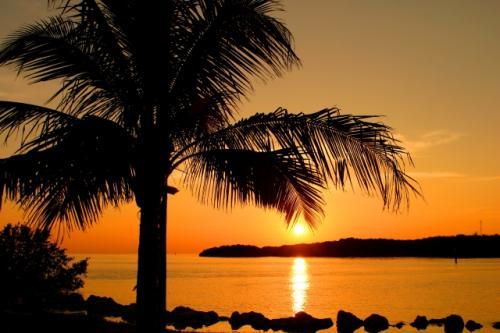 Profile Photos of Tropicalboat Luxury Yacht Charters & Rentals 31 SE 5th Street, CU-503 - Photo 3 of 3