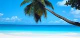Tropicalboat Luxury Yacht Charters & Rentals, Miami