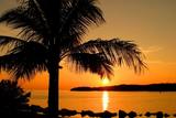 Tropicalboat Luxury Yacht Charters & Rentals, Miami