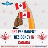 Immigration Xperts, Noida
