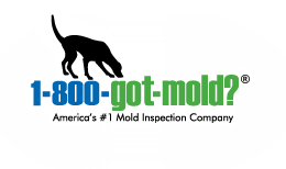  Profile Photos of 1-800-GOT-MOLD? 7 Schalks Crossing Rd. - Photo 1 of 1