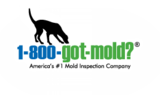 1-800-GOT-MOLD?, Plainsboro