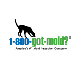  Profile Photos of 1-800-GOT-MOLD? 21 West Street - Photo 1 of 1