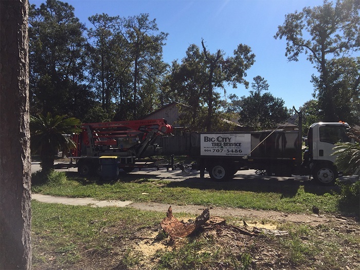  Profile Photos of Big City Tree Service, Inc. 108 Lee Rd - Photo 1 of 5