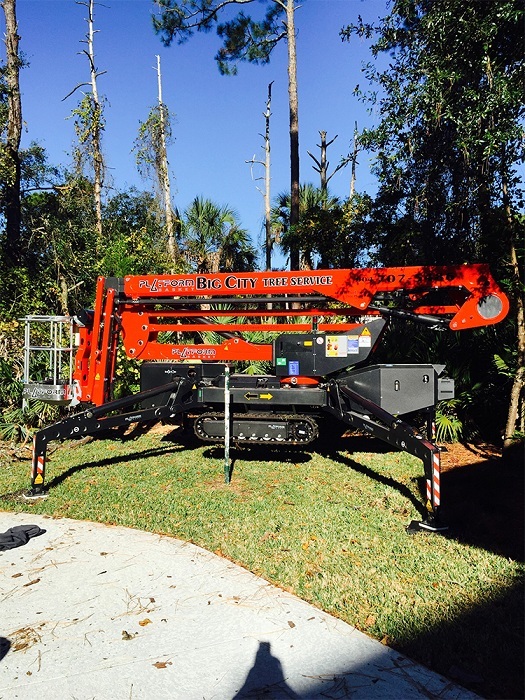  Profile Photos of Big City Tree Service, Inc. 108 Lee Rd - Photo 2 of 5