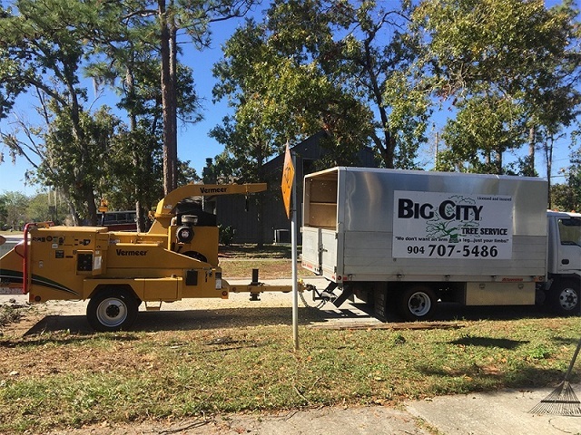  Profile Photos of Big City Tree Service, Inc. 108 Lee Rd - Photo 4 of 5