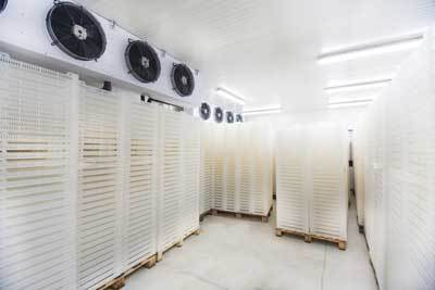  Profile Photos of All About Care Heating & Air, Inc. 2420 Farrington Point Dr - Photo 2 of 10
