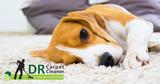 JDR Carpet Cleaning, Lyneham