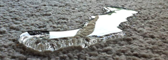  New Album of Carpet Bright UK - Cirencester Further Barton Lodge - Photo 22 of 32