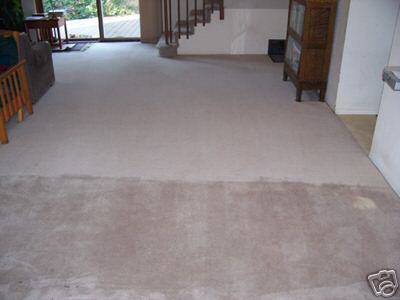  New Album of Carpet Bright UK - Cirencester Further Barton Lodge - Photo 21 of 32