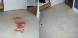  Carpet Bright UK - Cirencester Further Barton Lodge 