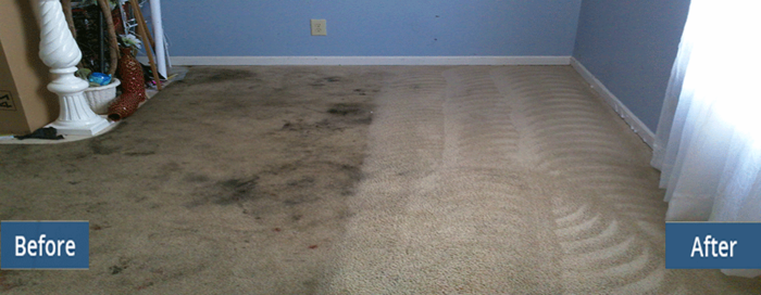  New Album of Carpet Bright UK - Cheltenham 20 Winchcombe Street - Photo 18 of 32
