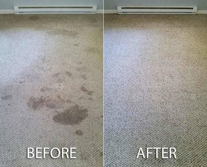  New Album of Carpet Bright UK - Cheltenham 20 Winchcombe Street - Photo 13 of 32