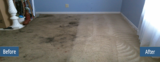  Carpet Bright UK - Cheltenham 20 Winchcombe Street 