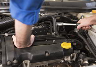  New Album of Viking Automotive 14500-B Lee Road - Photo 3 of 4
