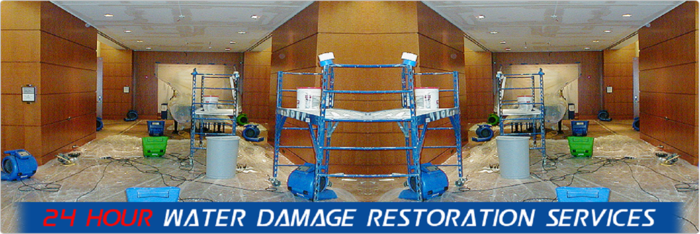 New Album of Squeaky Clean Carpet Restoration Melbourne, Victoria - Photo 1 of 5