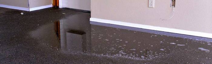  New Album of Squeaky Clean Carpet Restoration Melbourne, Victoria - Photo 4 of 5