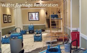  New Album of Squeaky Clean Carpet Restoration Melbourne, Victoria - Photo 5 of 5
