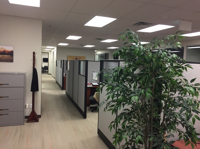  Profile Photos of Crowe MacKay LLP 303 Strickland Street #200 - Photo 8 of 10