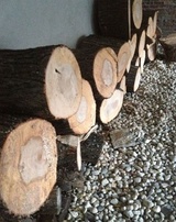 Richmond Hill Tree Service, Richmond Hill