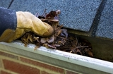  Mass Roofing and Gutters 470 Main St. 