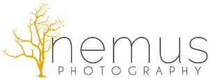  Profile Photos of Nemus Photography 3710 La Crosse Dr. - Photo 1 of 1
