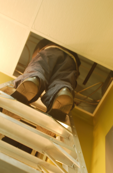  Profile Photos of C P Handyman Svc Locust Grove - Photo 1 of 1
