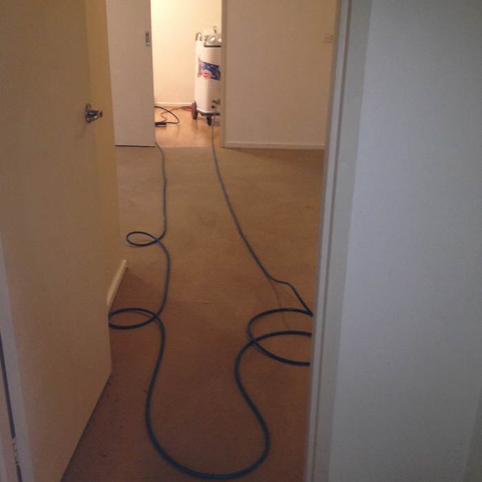  New Album of Proton Cleaning Geelong Level 2/83 Moorabool St - Photo 5 of 8