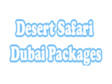 Dream Night Tourism, Dubai