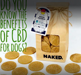 Naked Dog Bistro, Laguna Beach