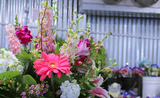  Fresh Ideas Flower Co 1302 9th St 