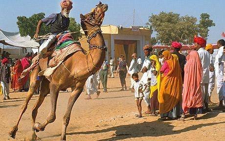  Profile Photos of Fascinated Pushkar Fair Tour with True Devotion 306 ocean complex sector-18 - Photo 1 of 4