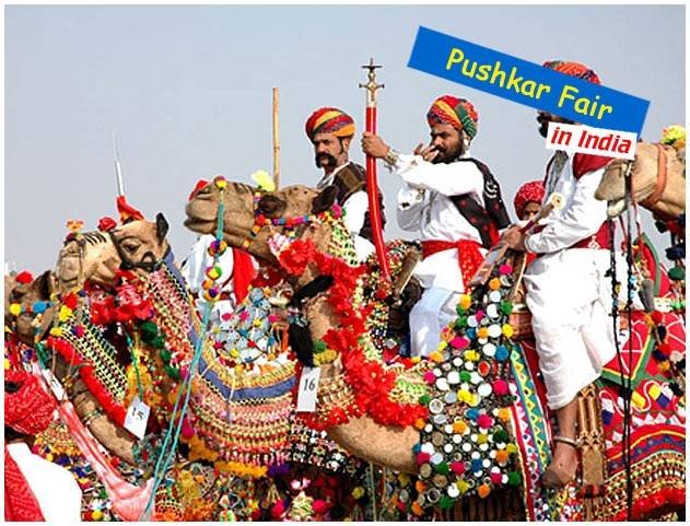  Profile Photos of Fascinated Pushkar Fair Tour with True Devotion 306 ocean complex sector-18 - Photo 2 of 4