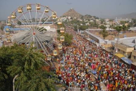  Profile Photos of Fascinated Pushkar Fair Tour with True Devotion 306 ocean complex sector-18 - Photo 3 of 4