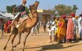 Fascinated Pushkar Fair Tour with True Devotion, Noida