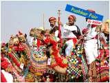 Fascinated Pushkar Fair Tour with True Devotion, Noida