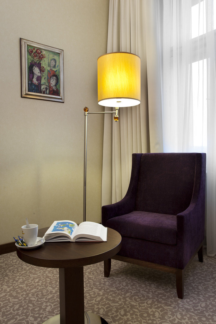  Profile Photos of HMG s.r.o. / Hotel KING DAVID HybernskÃ¡ 42 - Photo 5 of 10
