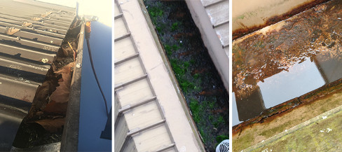  Profile Photos of Grime Off Now 795 Te Rapa Road - Photo 3 of 6