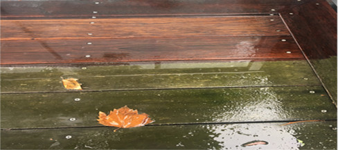  Profile Photos of Grime Off Now 795 Te Rapa Road - Photo 5 of 6