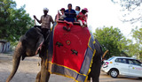  Rajputana Tour & Travels 36, Vivek Nagar Near Sindhi Camp Bus Stand Metro Station 
