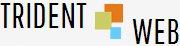  Profile Photos of Digital Marketing Company In Pune : TridentWeb InfoServices India Office No-3, 5th Floor, 