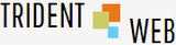 Digital Marketing Company In Pune : TridentWeb InfoServices India, Pune