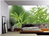  construction markets C 5/39 safadar development area hauz khas new delhi 