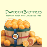 Davidson Brother's Family, Daytona Beach
