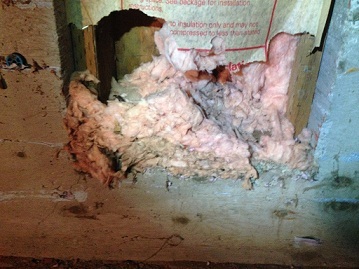  New Album of Crawl Space Portland 12625 SW Katherine St - Photo 2 of 4